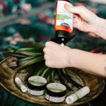 natural ways to control ants: 7 Proven Methods to Avoid Toxic Sprays